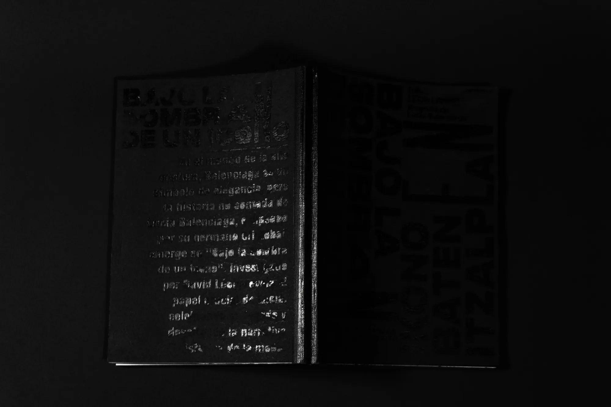 El libro «Bajo la sombra de un icono», negro sobre negro