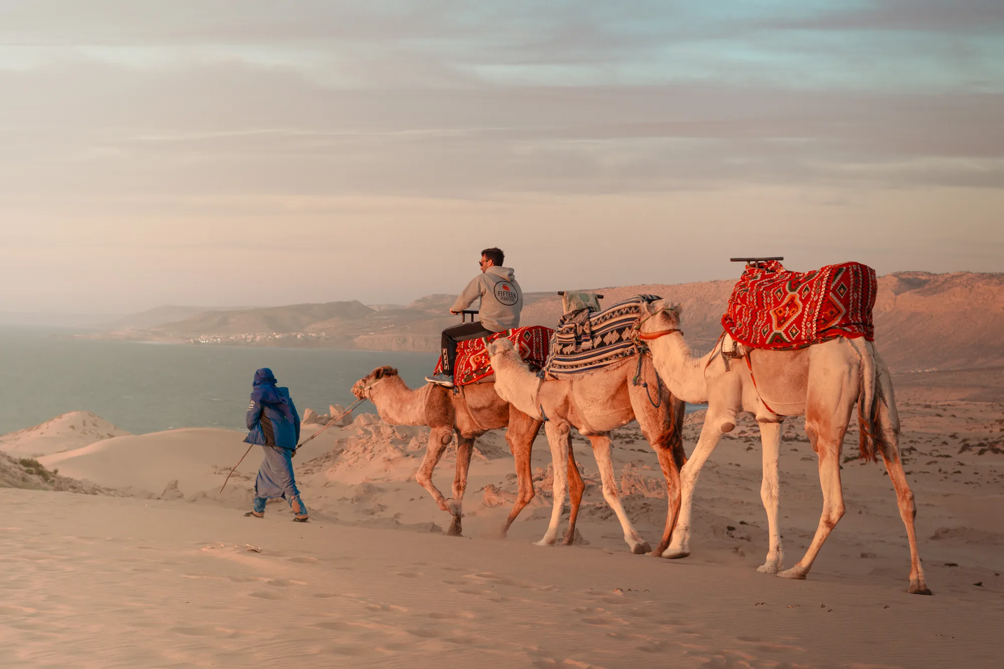 Caravana de camellos por las dunas junto al mar
